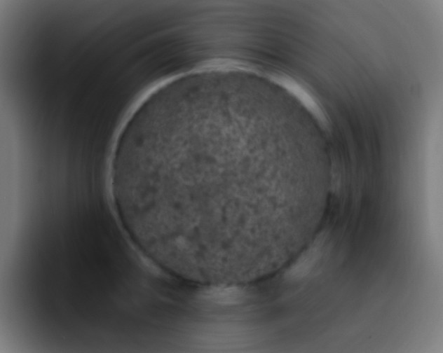 X0000093141094200710031405