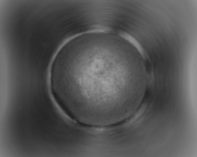 X0000093141099200710031405