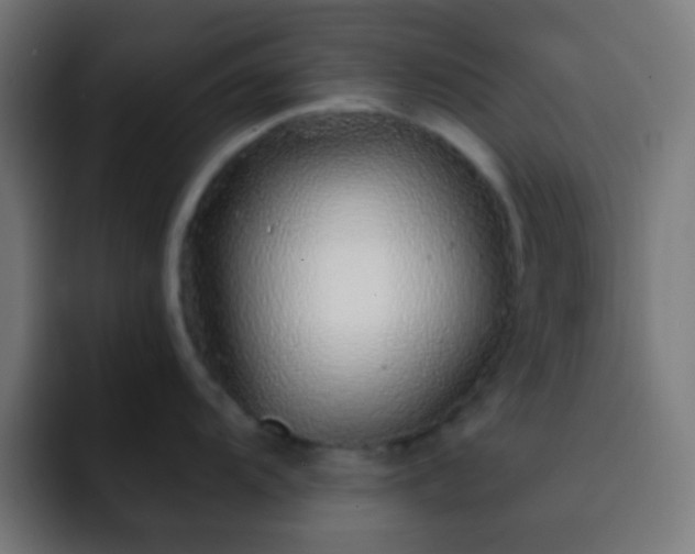 X0000093141104200710031405