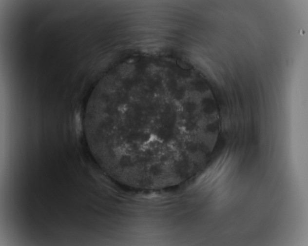 X0000093141106200710031405