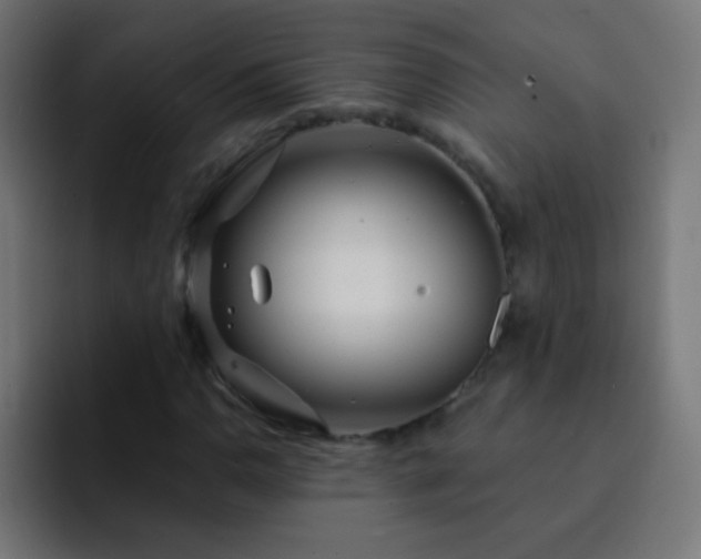 X0000093141110200710031405