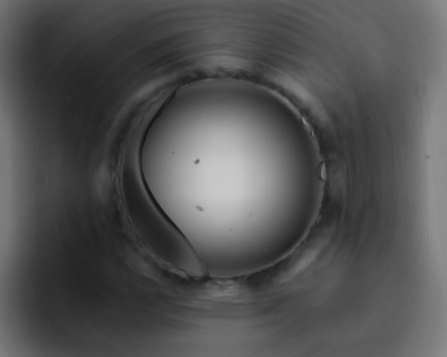 X0000093141112200710031405