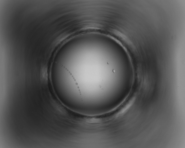X0000093141113200710031405