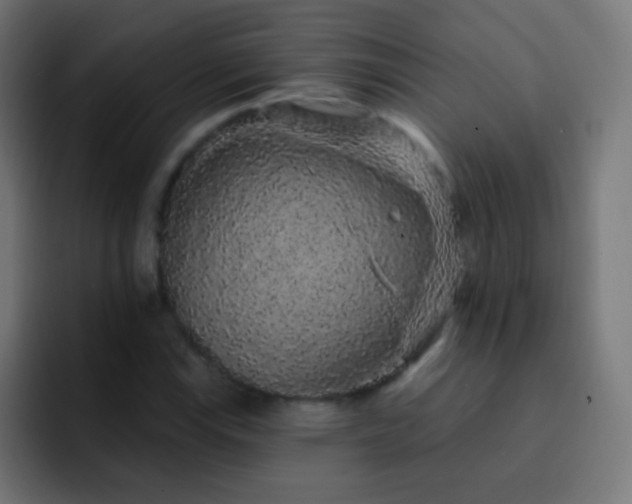 X0000093141115200710031405