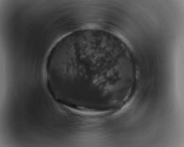 X0000093141117200710031405