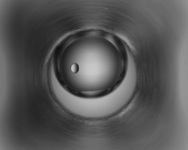 X0000093141118200710031405