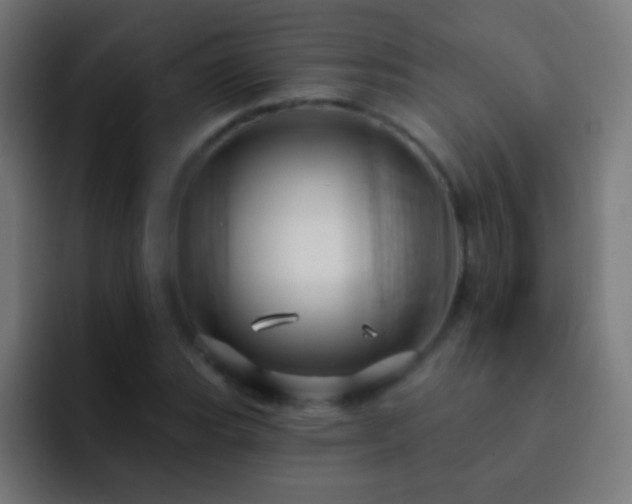 X0000093141119200710031405