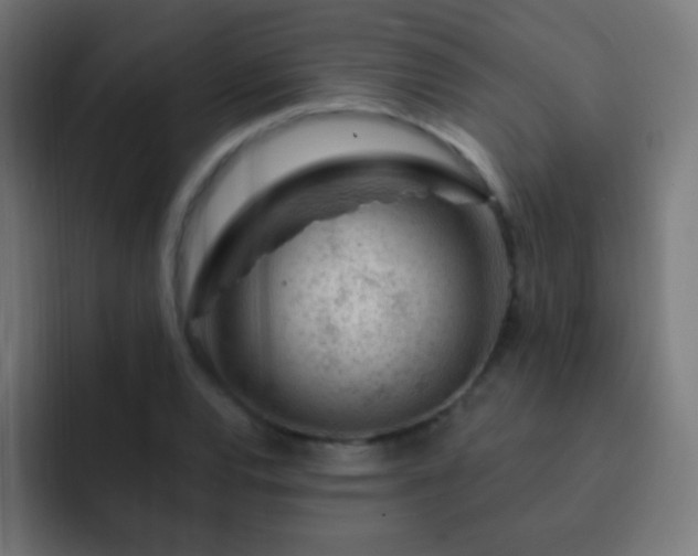 X0000093141120200710031405