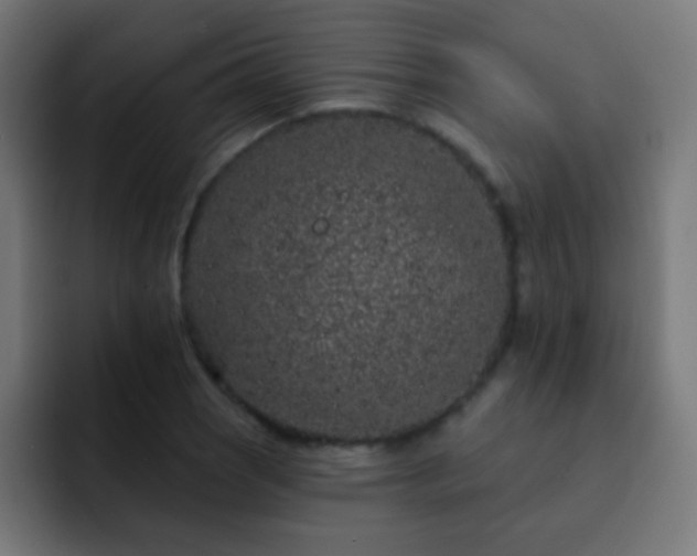 X0000093141121200710031405