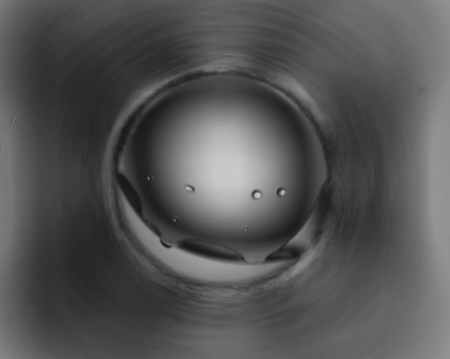 X0000093141122200710031405