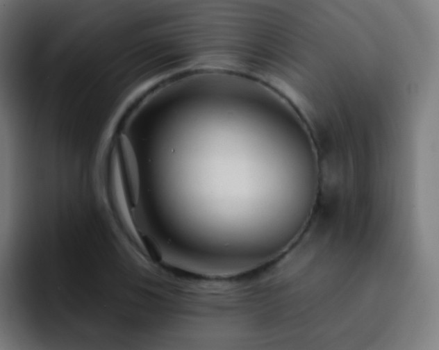 X0000093141123200710031405