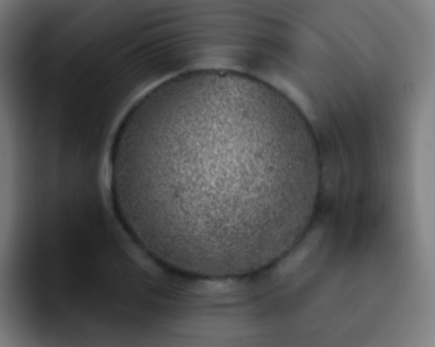 X0000093141125200710031405