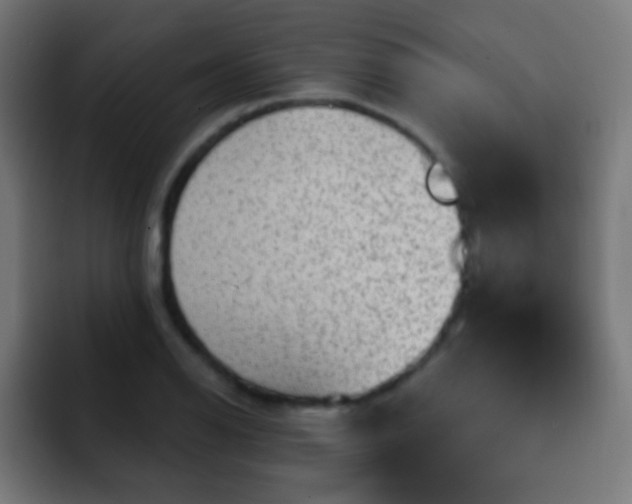 X0000093141126200710031405