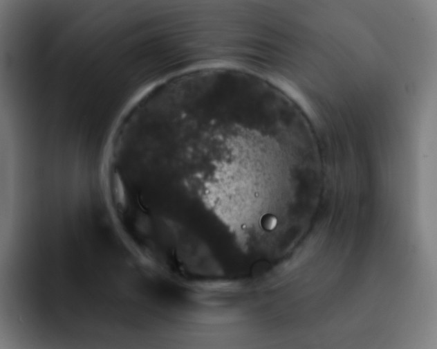 X0000093141127200710031405