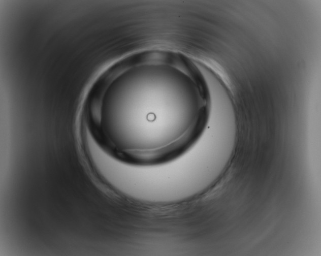 X0000093141128200710031405