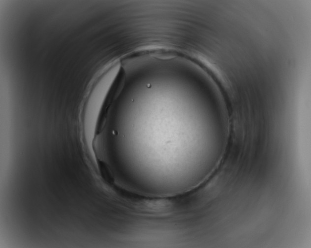 X0000093141129200710031405