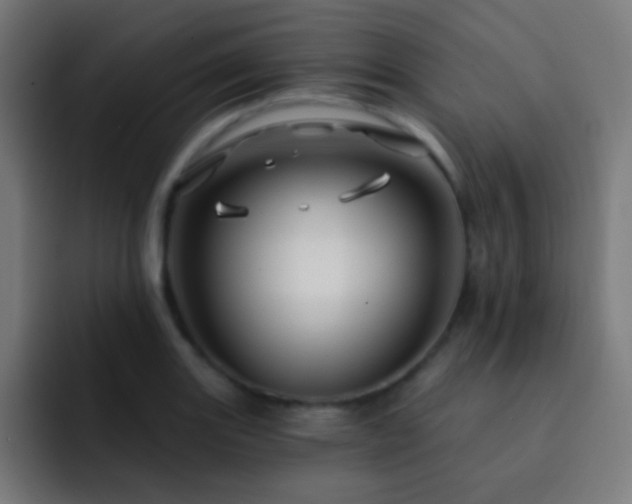 X0000093141131200710031405