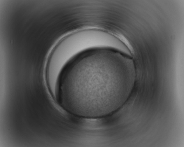 X0000093141132200710031405