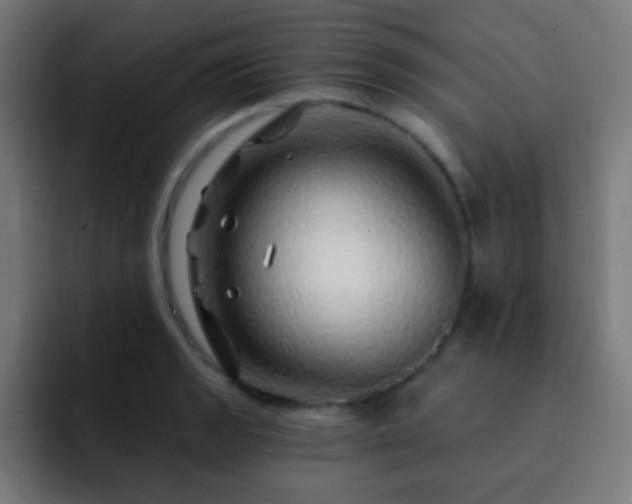 X0000093141133200710031405