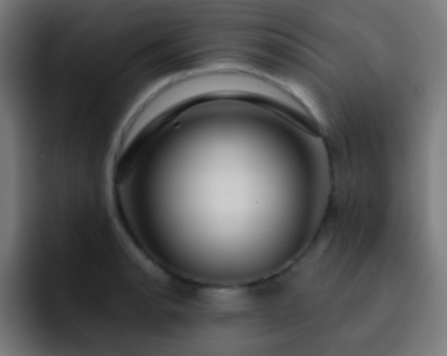 X0000093141134200710031405