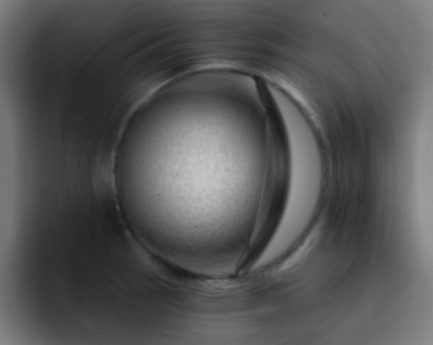 X0000093141137200710031405