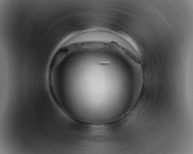 X0000093141142200710031405