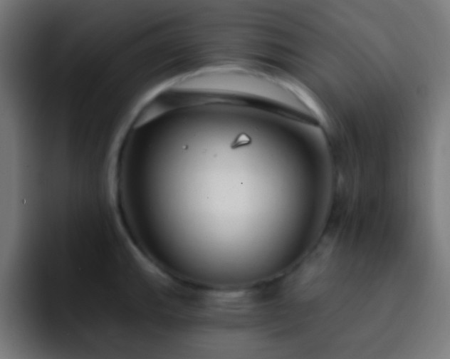 X0000093141143200710031405