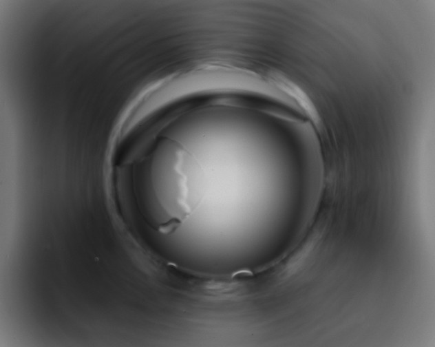 X0000093141146200710031405
