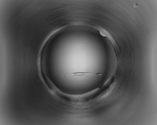 X0000093141149200710031405