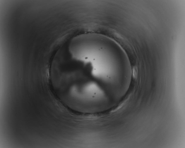 X0000093141155200710031405