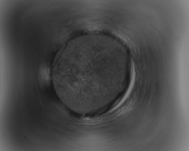 X0000093141156200710031405