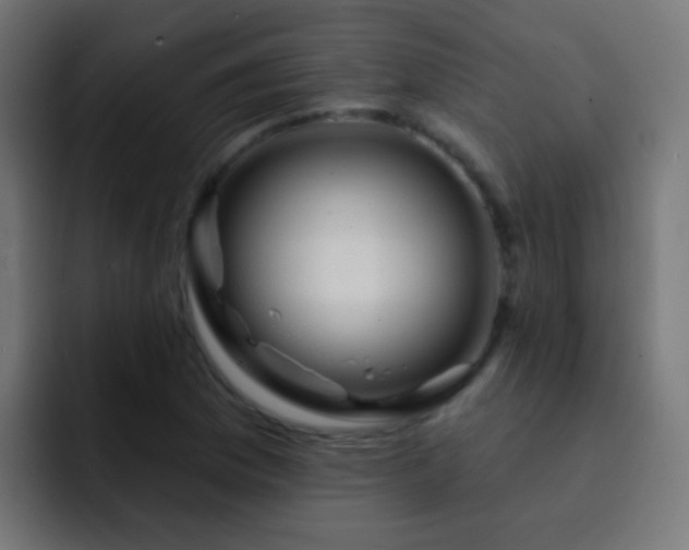 X0000093141169200710031404