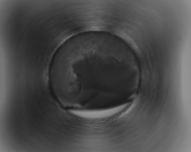 X0000093141170200710031404