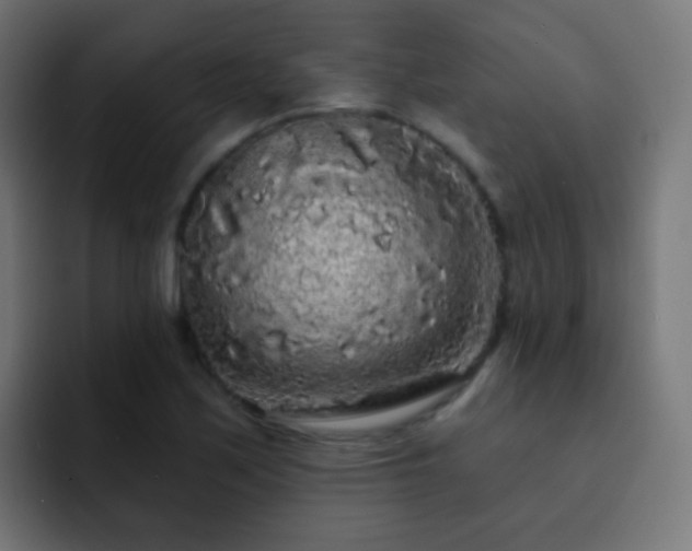 X0000093141171200710031404