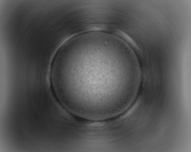 X0000093141178200710031404