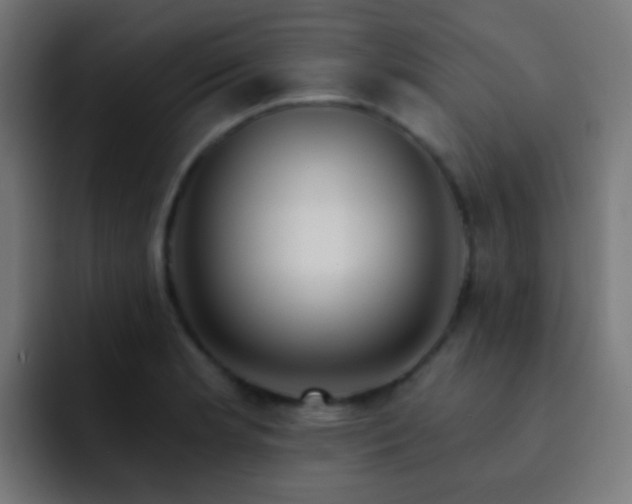X0000093141181200710031404