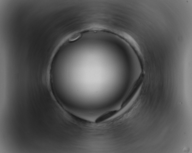 X0000093141183200710031404
