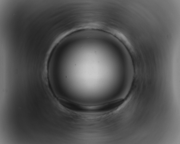 X0000093141184200710031404