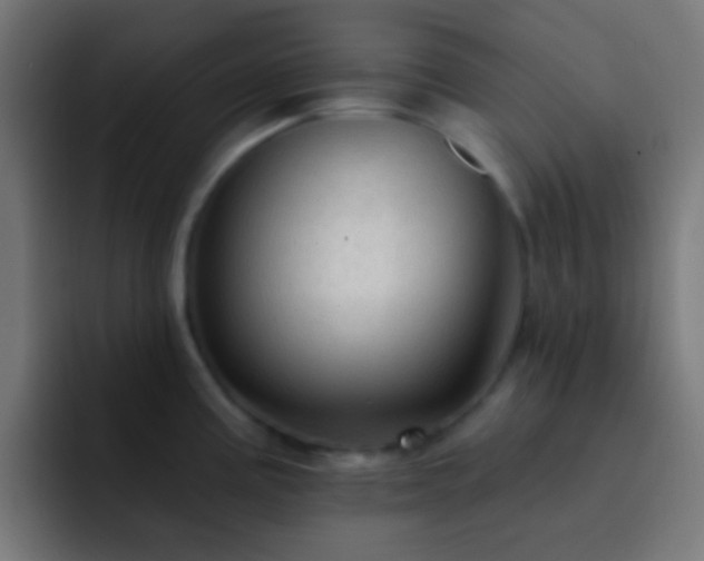 X0000093141195200710031404