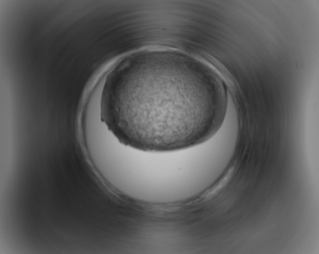 X0000093141196200710031404
