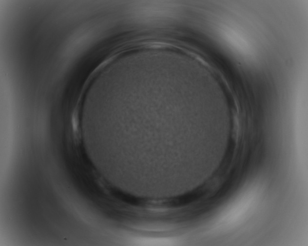 X0000093141198200710031404