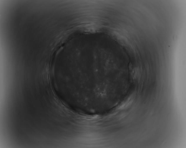 X0000093141202200710031404