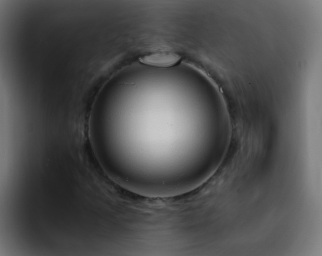 X0000093141205200710031404