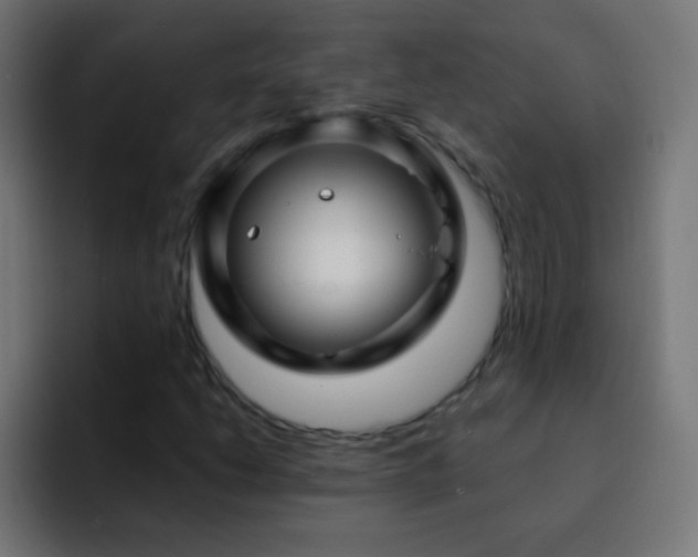 X0000093141206200710031404
