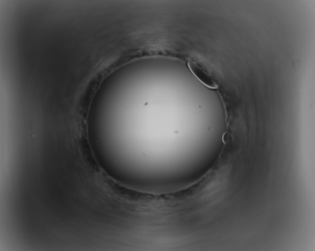 X0000093141207200710031404