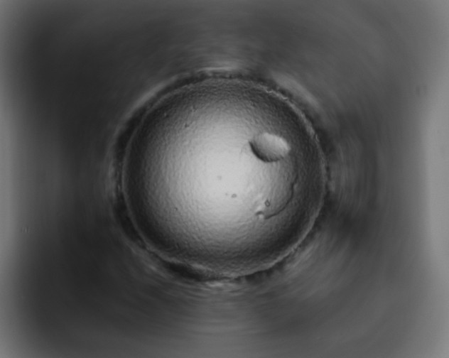 X0000093141208200710031404