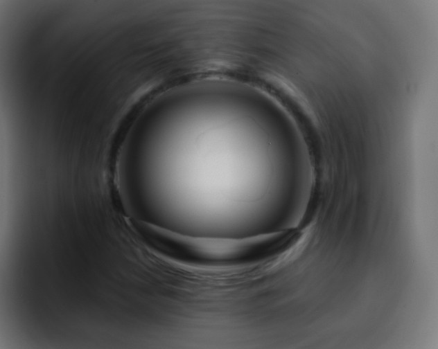 X0000093141210200710031404