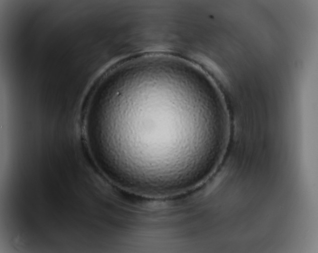 X0000093141212200710031404