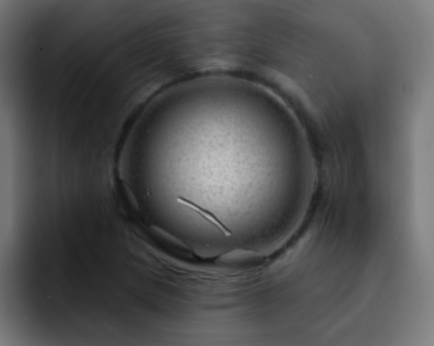X0000093141217200710031404