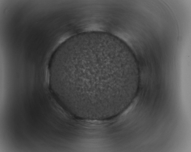 X0000093141219200710031404